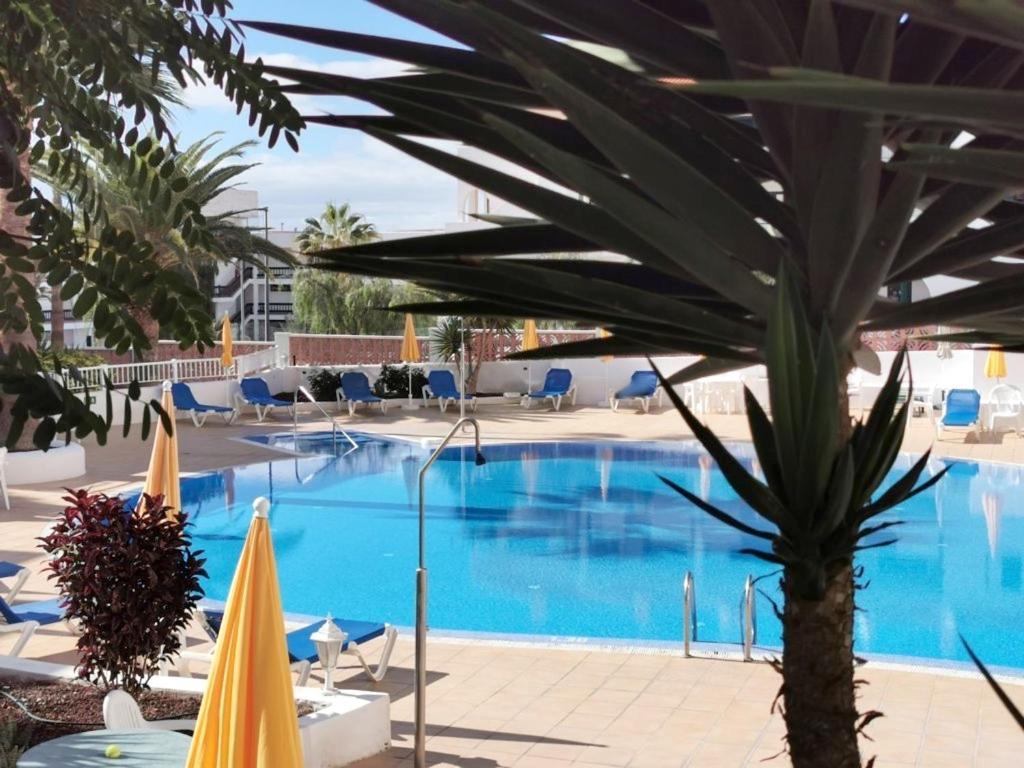 Apartment In Aguaviva كالاو سالفاجي المظهر الخارجي الصورة